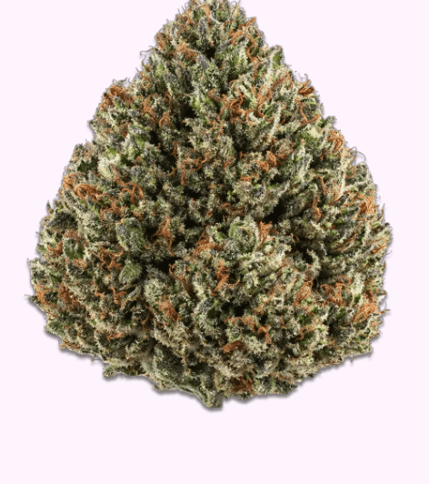 Slurp Runtz THCa Flower
